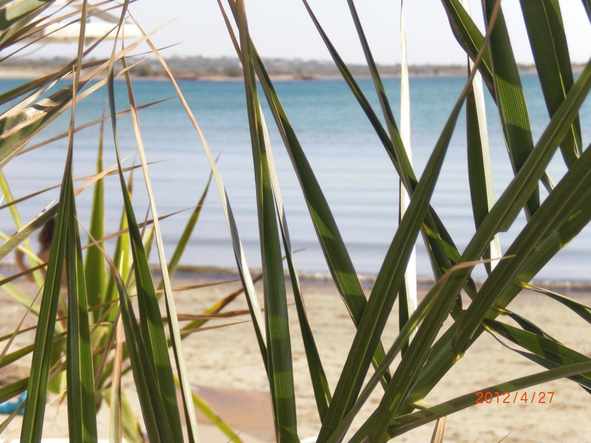 Panormos Hotel And Studios Naxos City Екстериор снимка